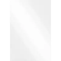 vidaXL Wandspiegel Rechthoekig 40 x 60 cm gehard glas