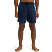 Quiksilver Everyday Clicker Volley 15´´ Zwembroek