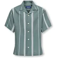Only & Sons Junior Overhemd 'OSJSTEPAN' groen / wit