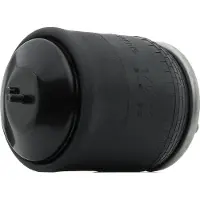 RIDEX 4119A0079 Luchtbalg