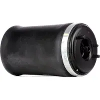 RIDEX 4119A0009 Luchtbalg