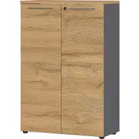 Germania Melamine Draaideurkast Afsluitbaar 800 x 400 x 1.200 mm Bruin, grafiet