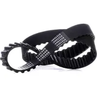 Stark SKTIB-0780043 Distributieriem