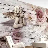 Artgeist Fotobehang - Angel and Calm