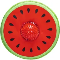 Beeztees Frisbee Hond Meloen Spikie 25 X 8 X 8 Cm