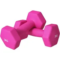 SPORTNOW -Kunststoff, Metall-Rosa-18L x 8B x 8H cm-Kurzhantel