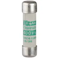 Schneider Electric TeSys DF2 10x38mm 10A Motorbeschermingszekering - DF2CA10 [10 Stuks]