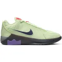 Nike LeBron Witness IX