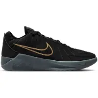 Nike LeBron Witness IX