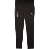 Puma Galatasaray Training Pant 2025/2026