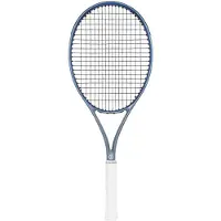 The Indian Maharadja Ravi 280