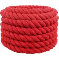 vidaXL Katoenen Touw 50 mm 10 m Rood 100% katoen
