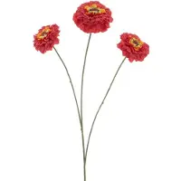 Erutan avon - Zinnia elegans spray red 60 cm