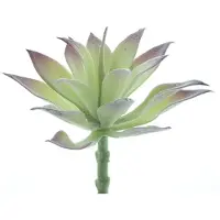 Erutan avon - Agave pick Guanita flocked green 16 cm