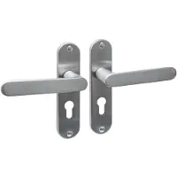 Intersteel Deurkruk Sora basic op schild ovaal 185x41mm profielcilinder 55mm RVS geborsteld