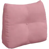 vidaXL Rugkussen Roze 60 x 24 x 50 cm Fluweel