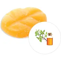 Scentchips Musk & Vers hout - Geurblokjes - Huisparfum - Geurchips - Waxmelts - Geschikt voor Geurbrander en Waxbrander - L - 26 Stuks