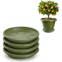 PlasticForte plantenpot onder schotel / opvang schaal - 3x - groen - dia 45 cm - Kunststof - voor een pot met dia 55/60 cm