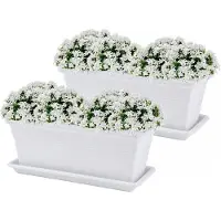 PlasticForte Plantenbakken met water opvangschotels - wit - 2x stuks - 40 x 18 x 15 cm - tuin - balkon - terras - rechthoek