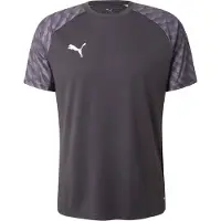 Puma Functioneel shirt 'TeamLIGA26' lichtgrijs / zwart / wit