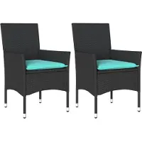 vidaXL Tuinstoelen 2 st met kussens poly rattan zwart