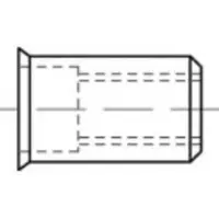 Toolcraft TO-5380422 Popmoer M8 RVS 100 stuk(s)