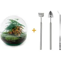 Urbanjngl Terrarium - Dome Red - ↑ 20 cm - Ecosysteem plant - Kamerplanten - DIY planten terrarium - Mini ecosysteem + Hark + Schep + Pincet