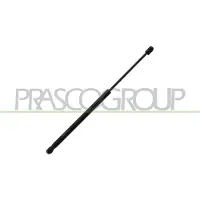 PRASCO AD0249075 Gasveer achterklep