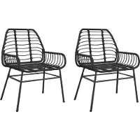 vidaXL Tuinstoelen, 2 stuks, zwart, polyrotan