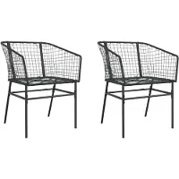 vidaXL Tuinstoelen 2 st poly rattan zwart