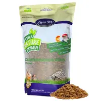 Lyra 1 kg larven van de soldaatvlieg