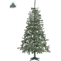 Guirma Douglasspar 536 Takken 180 Cm