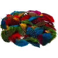 Creativ Company - Guinea fowl feathers 50 g. (51823)