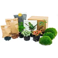 Urbanjngl Planten terrarium pakket - Lancifolia - Bonsai - Asparagus - 5 planten - Navulling & Startpakket - DIY - Ecosysteem plant |