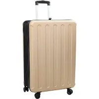 vidaXL Koffer met slot champagne 50 x 30 x 76 cm ABS Kunststof