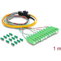 DeLOCK Fibre Optic Pigtail Fanout Cable 12 x SC-APC Simplex male to 12 x open cable ends 1 m
