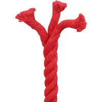 vidaXL Katoenen Touw 20 mm 50 m Rood 100% katoen