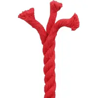 vidaXL Katoenen Touw 16 mm 100 m Rood 100% katoen