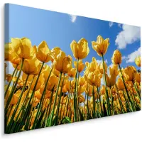 Karo-art Schilderij - Gele tulpen, premium print