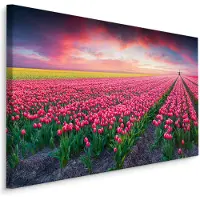 Karo-art Schilderij - Bloeiend tulpen veld, premium print