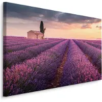Karo-art Schilderij - Lavendelveld bij zonsondergang, paars, 4 maten, wanddecoratie