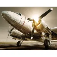 Karo-art 450cm X 300cm - Fotobehang - Vintage vliegtuig, premium print, inclusief behanglijm