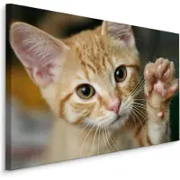 Karo-art Schilderij - Schattige Zwaaiende Kitten, Premium print