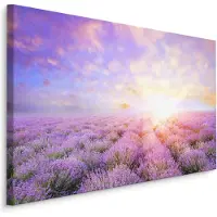 Karo-art Schilderij - Lavendel tot aan de Horizon, paars, Premium Print