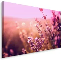 Karo-art Schilderij - Betoverend lavendel, premium print