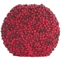 Light & Living Vaas Berries - Bordeaux - 44x19x37cm - Kunststof - Modern - Bloemenvaas - Woondecoratie - Decoratieve vaas voor woonkamer of slaapkamer