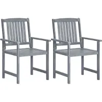 vidaXL Tuinstoelen 2 st massief acaciahout grijs