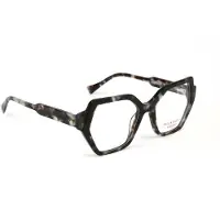 Ana Hickmann Optical Frame HI6289 G21 52