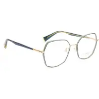 Ana Hickmann Optical Frame HI1229 12A 52