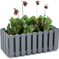 Prosperplast plantenbak - kunststof - 58 x 18 x 16 cm - houtbruin - Plantenpotten